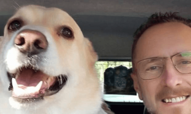 Un chien menacé d’euthanasie après une morsure contestée : une pétition réclame une enquête indépendante